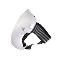 OEM Chine Fabricant WT Approuvé Taekwondo Aine Protecteur Gear Arts Martiaux Garde Inguinale