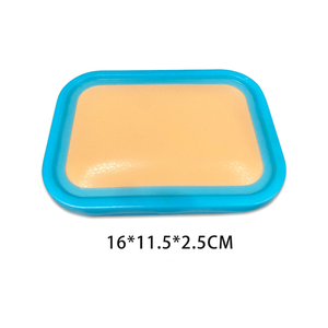 एक्यूपंक्चर अभ्यास मॉडल त्वचा बनावट चीनी चिकित्सा छात्र एक्यूपंक्चर त्वचा मॉडल का अभ्यास करते हैं - Product Image 4