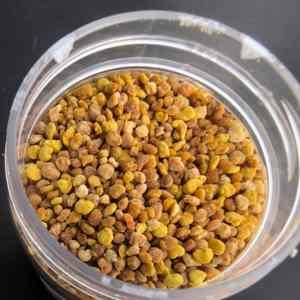 Pollen d'abeille biologique de Codonopsis Pilosula de qualité supérieure, frais et naturel, de qualité alimentaire, meilleur prix à la vente - Product Image 2