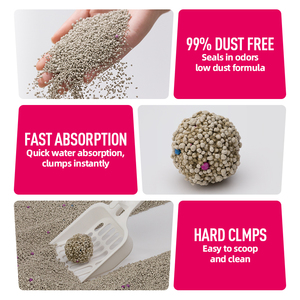 OEM Arena Para Gatos Strong Clumping Low Dust Odor Control Kitty Lavender Scented Ball Shape Bentonite <b>Litter</b> Sand - Product Image 2