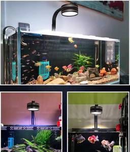 Volledig Spectrum <span class=keywords><strong>Aquarium</strong></span> Led Downlight Voor Koraalrif Plantengroei Ip68 55W - Product Image 6