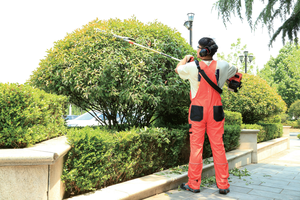 ماكينة تشذيب تحوط تلسكوبية لاسلكية من الدرجة الصناعية عالية الجودة طويلة المدى من CE عمود بنزين ثنائي الأشواط لاستخدام الحدائق بنفسك - Product Image 5