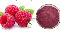 Poudre concentrée de jus de framboise saveur framboise, qualité supérieure, additif alimentaire en poudre de fruits de framboise, produit phare