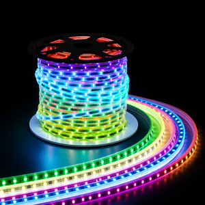 Tira de Luces LED RGB 110-220V 5050 60 LEDs/m IP65 Impermeable para Exteriores, Cambio de Color, Flexible, Sin Controlador, para Jardín - Product Image 1