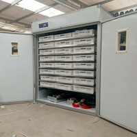 Nouvelle couveuse solaire automatique pour œufs de poule, taux d'éclosion de 90 %, en acier inoxydable, 220 V, pour oies, autruches, canards