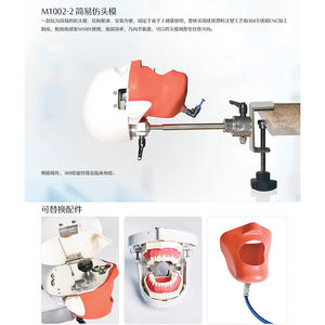 Accessoire d'équipement de thérapie orale, modèle de tête d'imitation simple pour la simulation dentaire, pour l'enseignement et la pratique, type oreiller, oral - Product Image 6