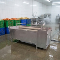 HXJ Automatische Motor Aardappel Wortel Gember Schil- en Wasmachine met Rolborstel