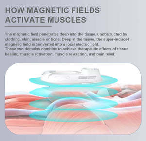 Máquina de Alivio del Dolor para Humanos <span class=keywords><strong>y</strong></span> Animales, con 4 Manijas, Terapia Magnética de Campo Electromagnético Pulsado (PEMF) - Product Image 5