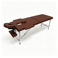 Table de massage portable durable à 2 sections avec pieds en acier inoxydable, lit de spa pliable avec repose-tête et accoudoirs
