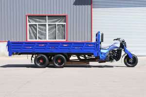 Tricycle benne mobile à <span class=keywords><strong>neuf</strong></span> roues de 350 cm³ le plus vendu pour le transport de marchandises - Product Image 4