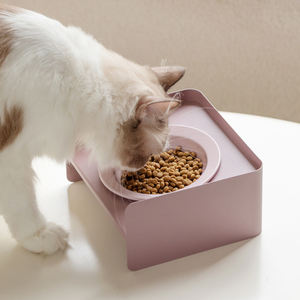 Novo Design Logotipo Personalizado 15 ° Inclinada Cerâmica Pet <span class=keywords><strong>Bowl</strong></span> <span class=keywords><strong>Cat</strong></span> Puppy Cerâmica Comida Água Pot Dog Cerâmica Alimentação <span class=keywords><strong>Bowl</strong></span> com Iron Stand - Product Image 2