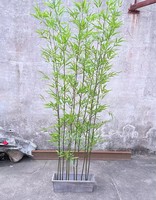 Plante artificielle en bambou 1,5 m, branche de bambou taïwanaise entièrement en plastique, arbre en bambou, plante artificielle verte en pot de pépinière, arbre décoratif