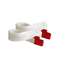 맞춤형 리프팅 장비 끝없는 유형 슬링 견인 스트랩 리프팅 벨트 좋은 가격 - Product Image 3