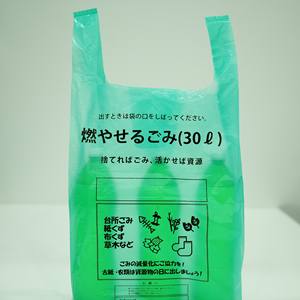 Sac en plastique Transparent, sachet en plastique, en polyester et poly, entreprises de fabrication vietnamien - Product Image 3