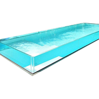 Piscine familiale neuve 2020 pour adultes, verre acrylique pour piscines