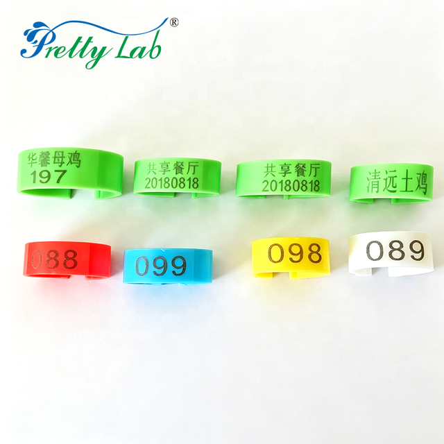Pigeon Leg Plastic Foot Clip Rings Band for Birds Chickens Tags Mixed Color Pigeon Foot Ring