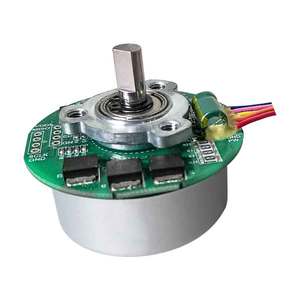 <strong>12V</strong> BLDC Fan <strong>Motor</strong>, 36V 6000rpm Brushless Heavy Duty &amp; 80W Brushless <strong>DC</strong> <strong>Motor</strong> Customizable - Product Image 2