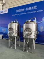 Cuve de Fermentation Conique en Acier Inoxydable 500L Unitank Équipement de Brassage de Bière Artisanale FV