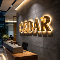 Enseigne lumineuse LED personnalisée, enseigne en lettres 3D, enseigne commerciale, enseigne de devanture de magasin, enseigne électronique