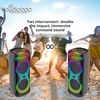 Oudiobop BK-S1201 Enceintes DJ d'extérieur pour fêtes, Subwoofer 12 pouces, Grand Haut-Parleur, Système Sonore Portable Sans Fil LED RGB Haute Puissance