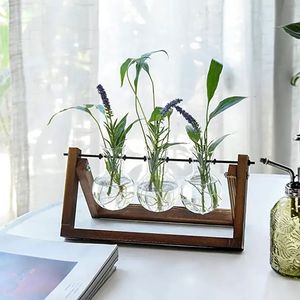 Pflanzenterrarium mit Holzständer, Luftpflanzen-Glasvase mit Metall-Drehhalterung, Retro-Tischdekoration für Hydrokultur - Product Image 1