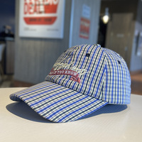 Gorra de béisbol coreana con rayas a cuadros, sombrero de sol bordado fino y transpirable, gorra con visera para exteriores para padres e hijos, para mujer, verano