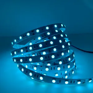 Bande lumineuse LED Flexible 5050 SMD 12V 24V, 1 couleur, rouge, bleu, vert, jaune, ruban de lumière