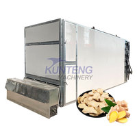 Tunnel Continue Oven Industriële Groenten Kurkuma Dehydrator Gedehydrateerde Ui Komkommer Droger Machine Voor Knoflook Aardappel