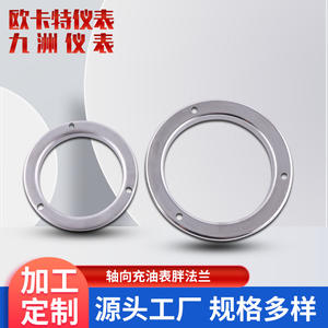 Manomètre axial à huile fourni par le fabricant, brides en acier inoxydable, tailles 40 mm, 50 mm, 63 mm, 100 mm - Product Image 5