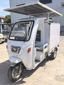 Triciclo Congelatore <span class=keywords><strong>Solare</strong></span> con Compressore DC, Box Refrigerato per Moto per Gelati - Product Image 1