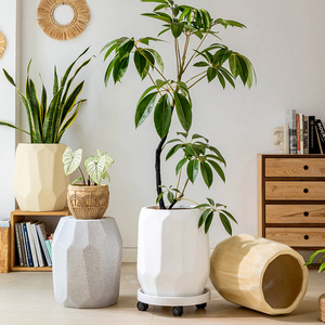 Pot de fleurs moderne <span class=keywords><strong>en</strong></span> argile de magnésie, léger, <span class=keywords><strong>en</strong></span> béton, grand, rond, pour extérieur, intérieur, balcon, jardin, décoration, fabrication OEM/ODM - Product Image 5