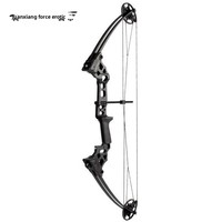Ensemble de tir à l'arc professionnel Junxing Battleship Composite Arch Class Bow Shooting pour compétition extérieure haute précision