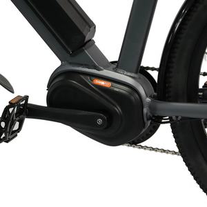 จักรยานไฟฟ้ามอเตอร์ Bafang แบบกลางตัวถัง ดีไซน์ใหม่สั่งทำพิเศษ 36v 250w น้ำหนักเบา <span class=keywords><strong>ยาง</strong></span>ใหญ่ สำหรับผู้ใหญ่ พร้อมกระเป๋าใส่ของ - Product Image 2