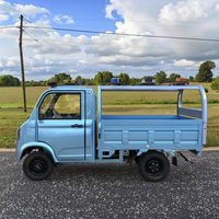 Véhicule utilitaire électrique à 4 roues avec moteur 2000W, adapté au transport de personnes et de marchandises