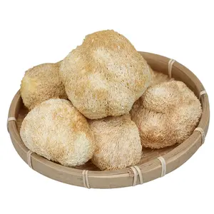 Detan Dried lions mane mushroom with high quality factory farming