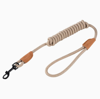 Laisse télescopique pour chien, réglable, en nylon, anti-traction, pour la promenade et l'entraînement des chiens en extérieur