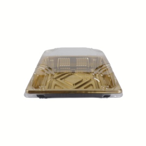Factory Directly Sale <strong>Disposable</strong> Durable Plastic Food Container Packaging Sushi to Go Box Container square to Go <strong>Platter</strong> - Product Image 4