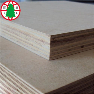 Best Price Commercial Plywood <strong>Baltic</strong> <strong>Birch</strong> Plywood Wholesale - Product Image 5