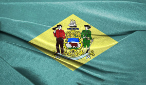 2025 New giá rẻ đồng bằng polyester thăng hoa in ấn tùy chỉnh quốc gia 3X5FT <span class=keywords><strong>Delaware</strong></span> cờ cờ với cờ quốc gia - Product Image 2