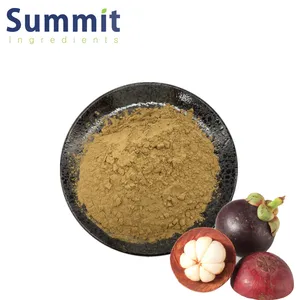 Top Quality Freeze Dried Fruit Extract Mangosteen Juice Powder Mangosteen Fruit Powder Mangosteen Powder