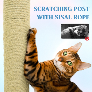 ألعاب كبيرة من الخشب الصلب إطار تسلق شجرة القط لوحة خدش قفز كبسولة منصة سيزال متينة - Product Image 4