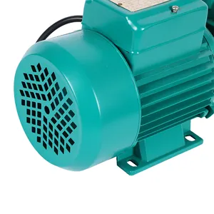 Pompe per acqua a bassa pressione mini pompa dell'acqua elettrica ad alta pressione domestica