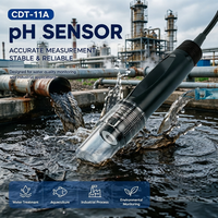 Coda CDT-11A Electrodo de Agua para Alta Temperatura con Tratamiento RS485 4-20mA, Sonda Medidora de pH en Línea Portátil OEM con Precisión de 0.05PH