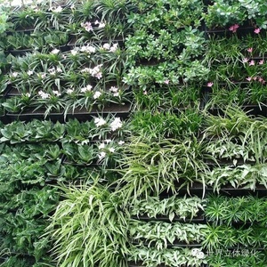 Jardinera Vertical de Alta Calidad Fabricada en China en 2018, Jardinera Vertical para Jardín Vertical - Product Image 3