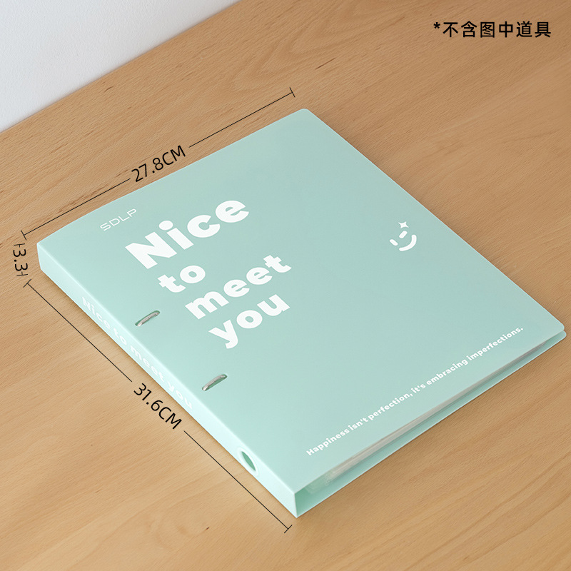 [Single Folder] Mint Green