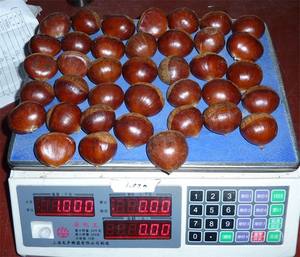 Châtaignes chinoises de nouvelle récolte en gros, châtaignes brutes, châtaignes fraîches, <span class=keywords><strong>prix</strong></span> <span class=keywords><strong>au</strong></span> <span class=keywords><strong>kg</strong></span> en sac - Product Image 4