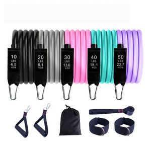 Bandes de Résistance TPE de Haute Qualité pour Exercices, Lot de 11 Pièces, Tubes en Boucle Imprimés, pour Entraînement Intensif, en Vente - Product Image 2