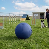 Pelota de Juego Resistente de 45 cm para Perros Mordedores Agresivos, Juguete Inflable Interactivo a Prueba de Agua para Perros, para Exteriores