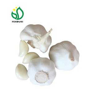 Jining <span class=keywords><strong>Ail</strong></span> Frais Nature Garlic10kg/carton Lâchement 5.5cm Exportation <span class=keywords><strong>Afrique</strong></span>, Amérique <span class=keywords><strong>du</strong></span> <span class=keywords><strong>Sud</strong></span>, Moyen-Orient - Product Image 1
