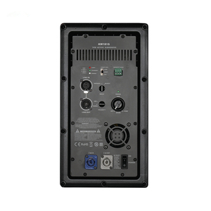 Mạch khuếch đại công suất loa siêu trầm Class D 1000W chuyên nghiệp, <span class=keywords><strong>module</strong></span> khuếch đại loa karaoke cho dàn line array - Product Image 1